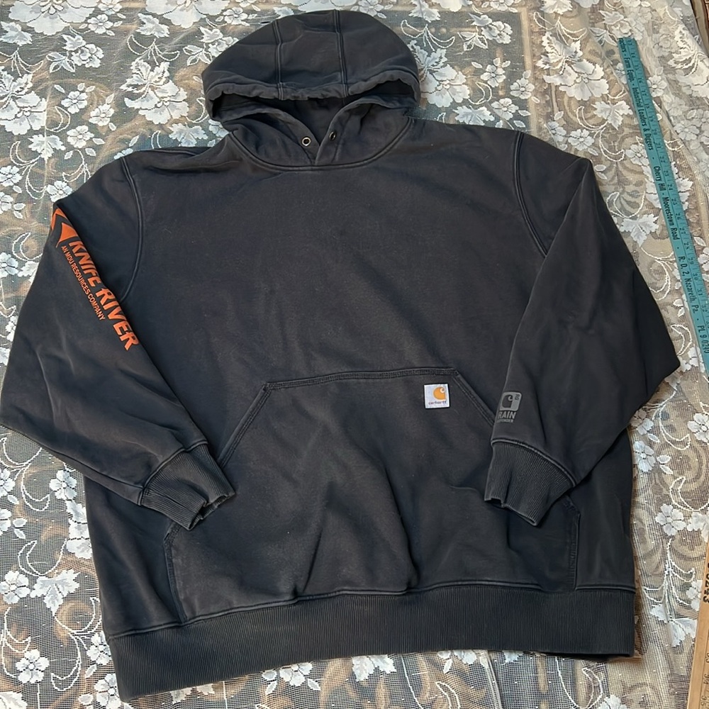 Carhartt Unisex Rain Defender Original Fit Logo Graphic Sweatshirt Hoodie
